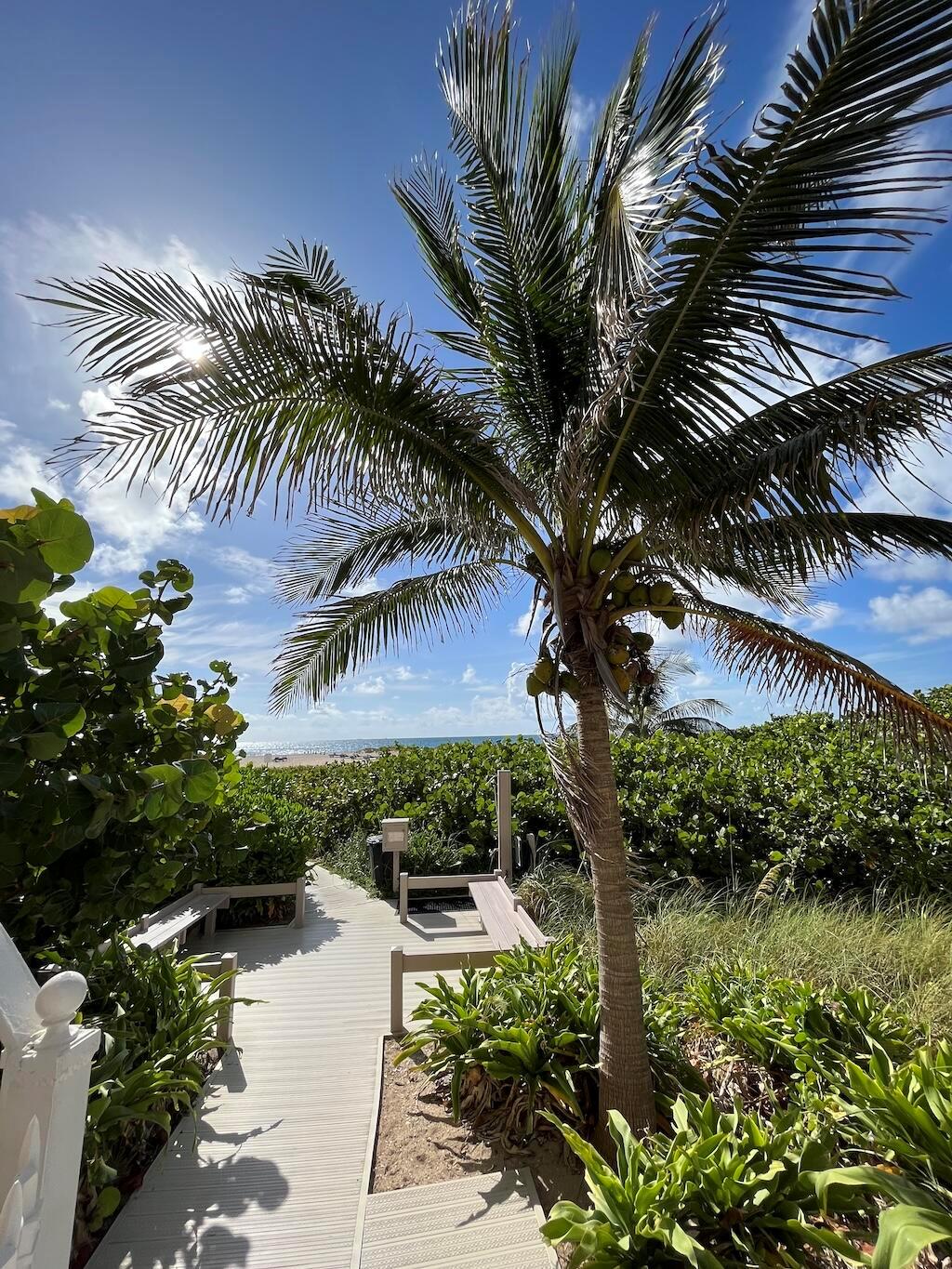 PHOENIX TOWERS CONDO - Residential Lease