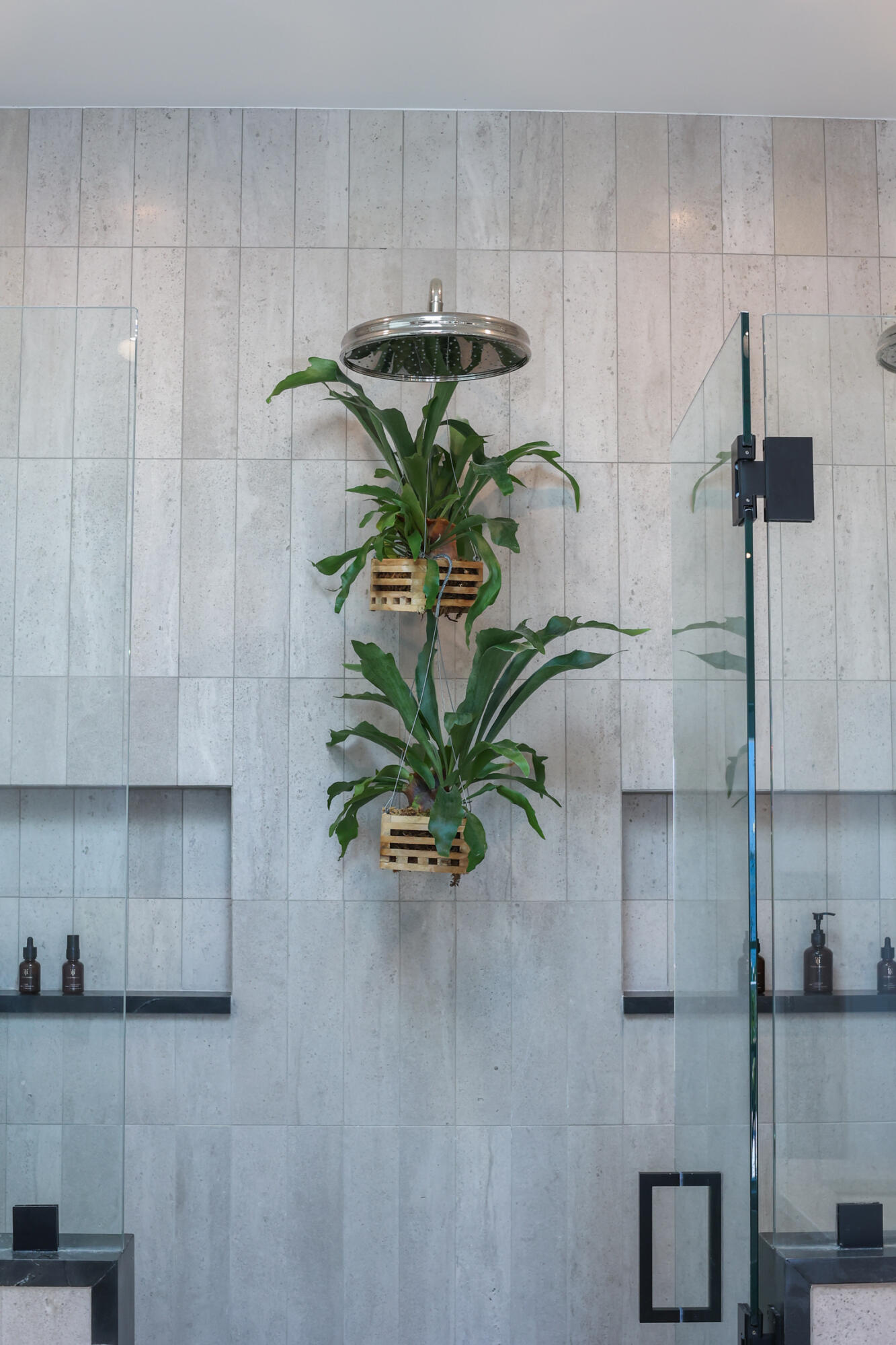 Sewalls Point - Residential