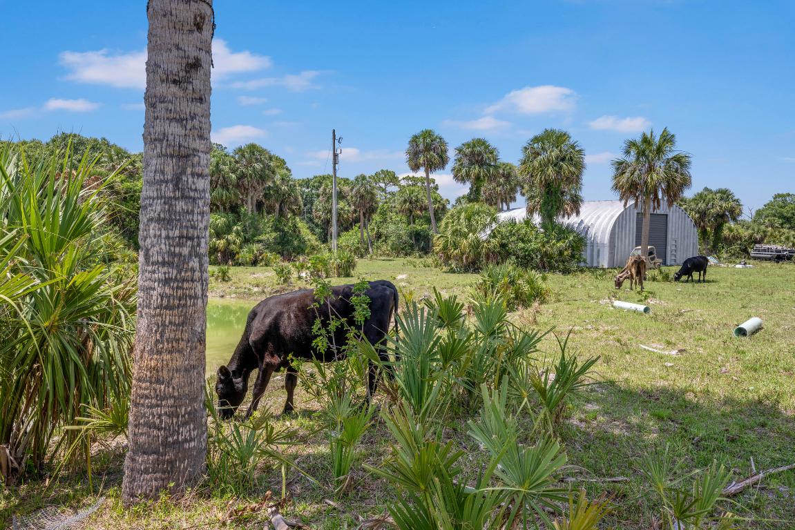METES AND BOUNDS - Residential