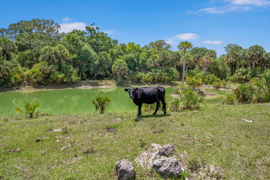METES AND BOUNDS - Residential