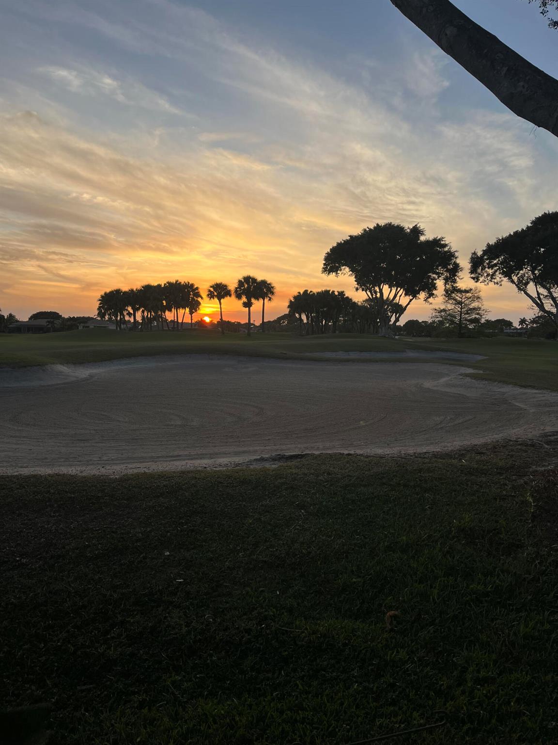 IBIS GOLF AND COUNTRY CLU - Residential