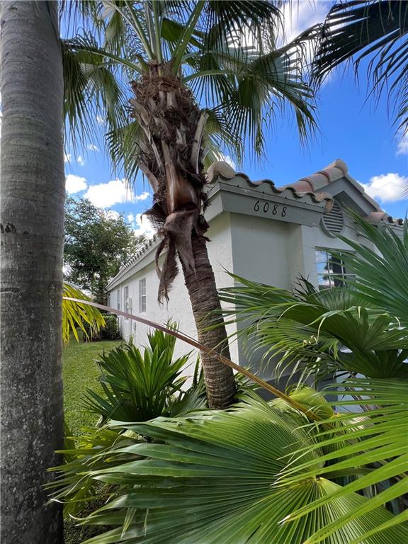 Sawgrass Lakes Homes - Residential