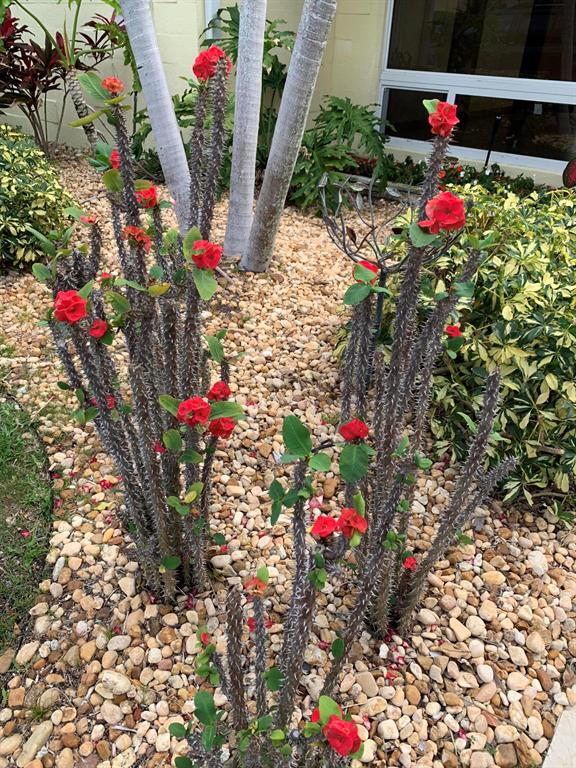 LIGHTHOUSE POINT 2ND SEC - Residential Lease