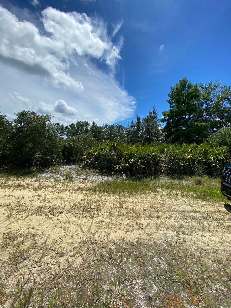 Great lot in subdivision of Indian Lake Estates, call with questions!