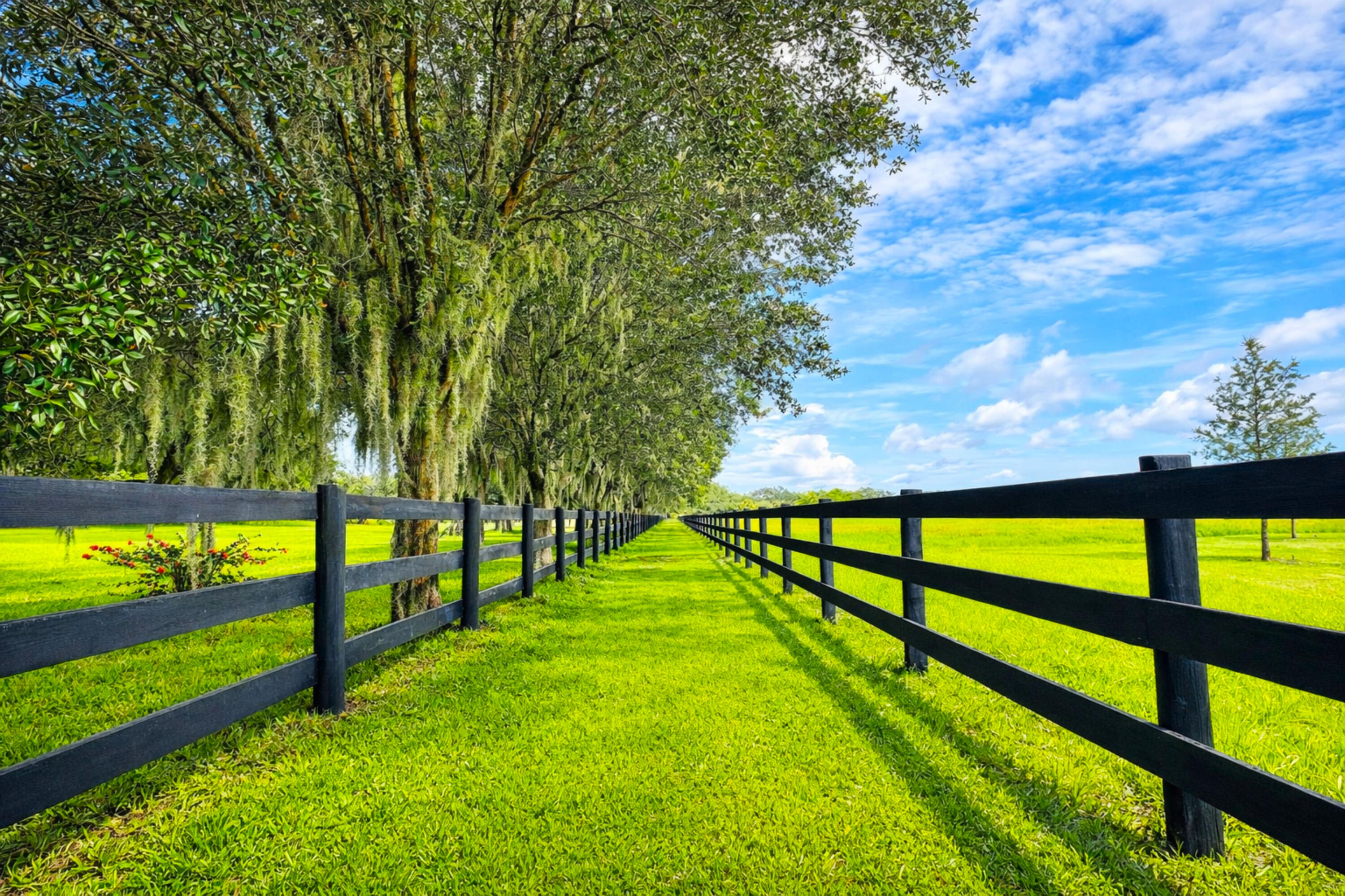 26209 SW Jockeys Run Run