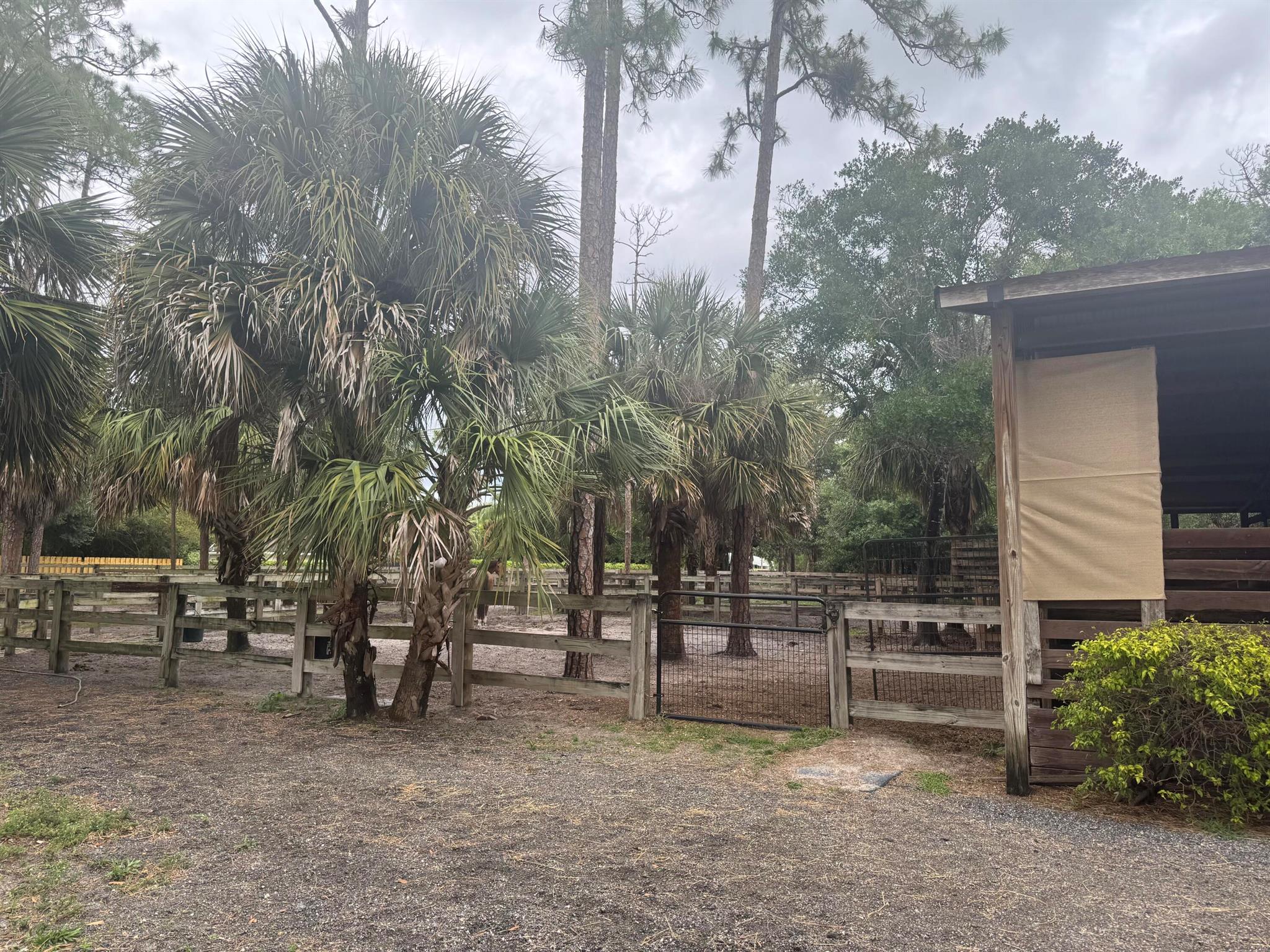 13119 Collecting Canal Road