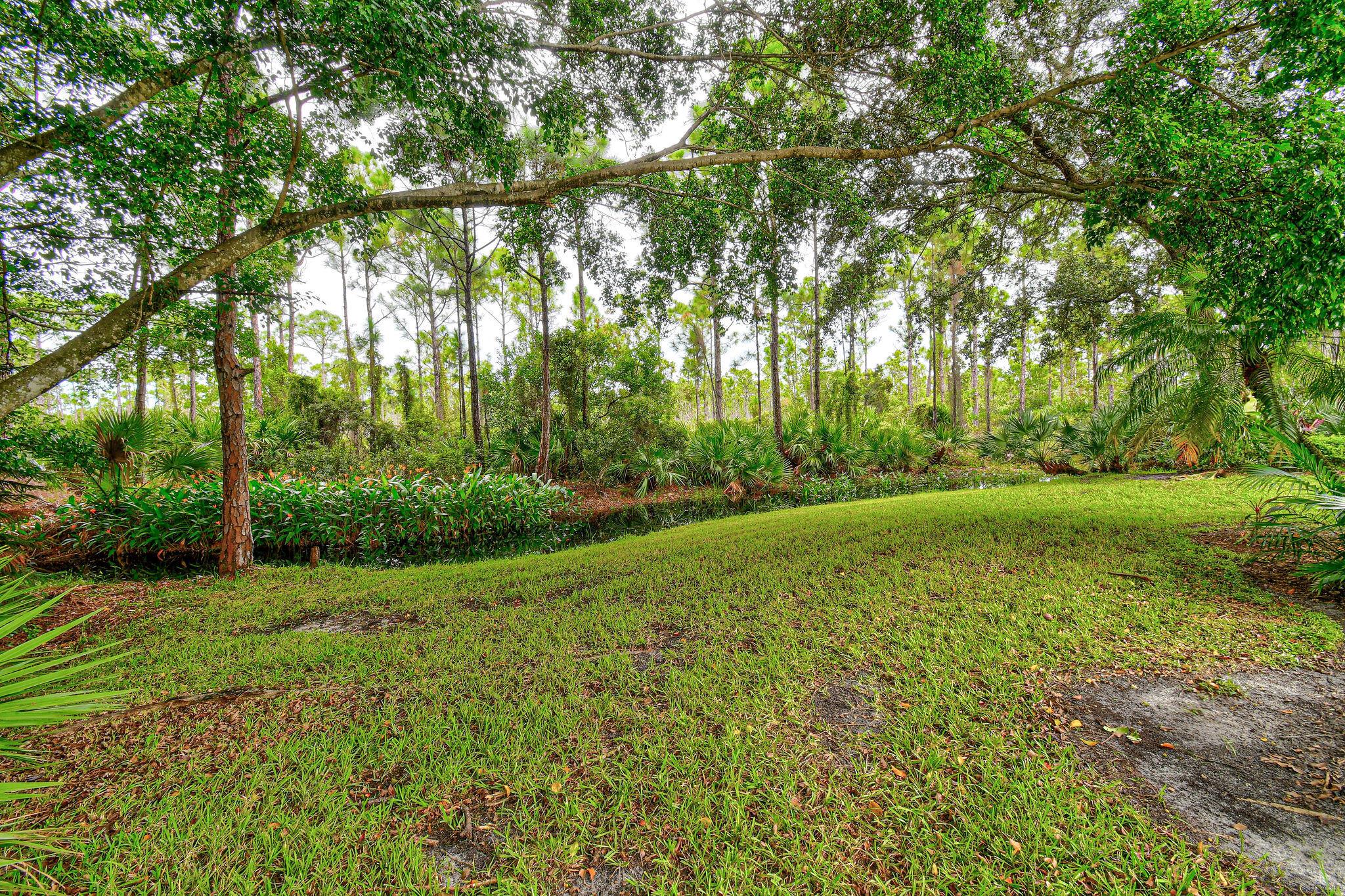 Double Tree - Residential