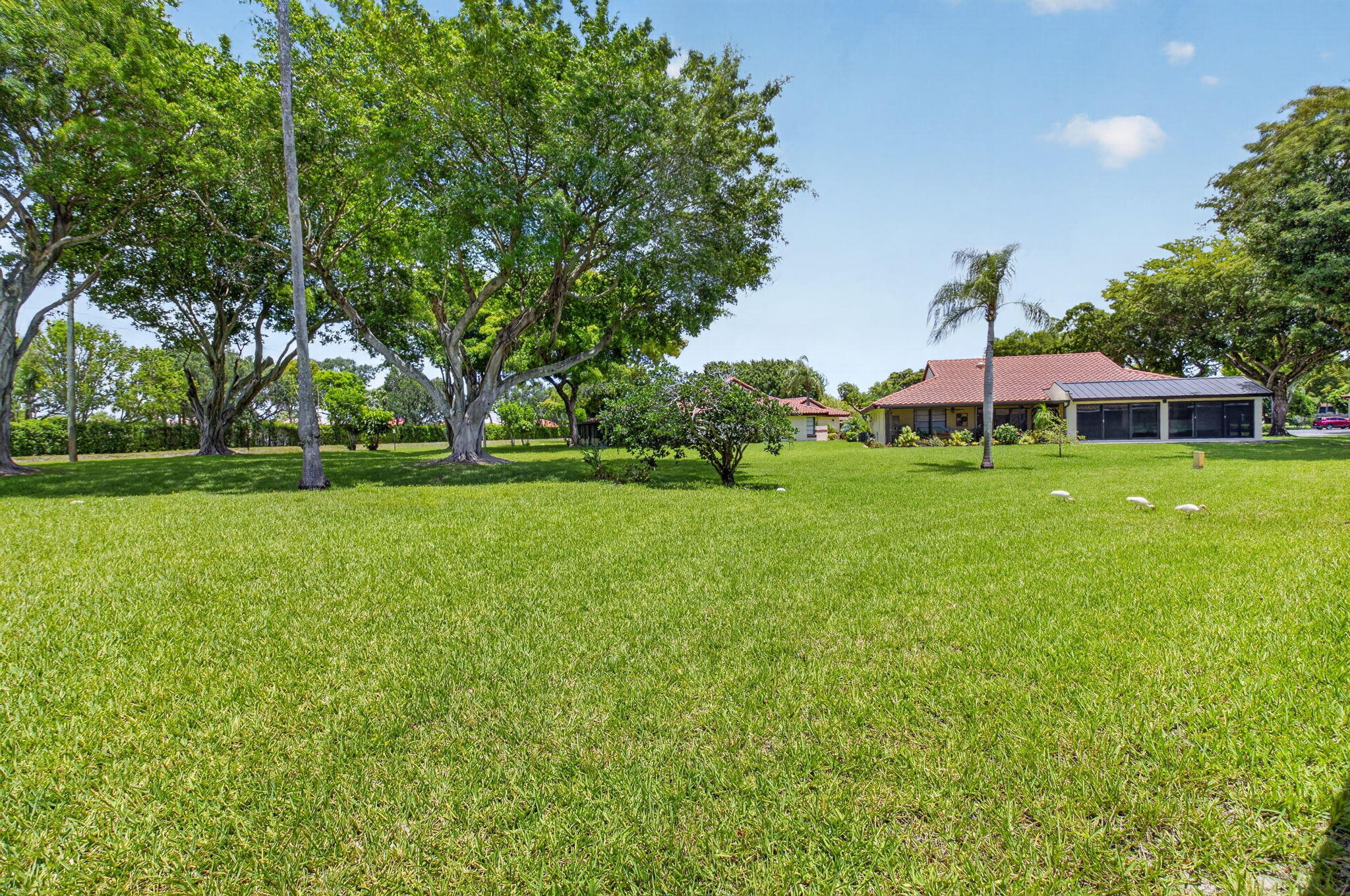 Palm Chase - Residential