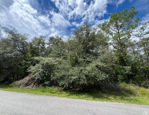 Nice Citrus Springs lot ready for your new Florida home, located in Citrus County of Florida's Nature Coast. Enjoy all that Citrus Springs has to offer, with the nearby 46- mile Withlachoochee State Trail, a popular paved trail for leisurely bike rides. The community also offers tennis courts and Citrus Springs Golf and Country Club, an 18-hole public golf course. Deed restricted community with new homes nearby. Buy and build or hold for investment.
