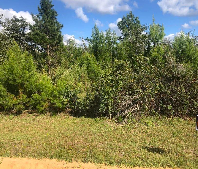 Escape to the sounds of nature in Interlachen Estates. Build or bring your dream home on this beautiful 0.22 acres. Looking to purchase your dream property in Florida, look no further.
Buying Land in Florida is a solid investment for your future, build your dream home, vacation home, or rental investment .
Owner Financing Available with $1,000 down