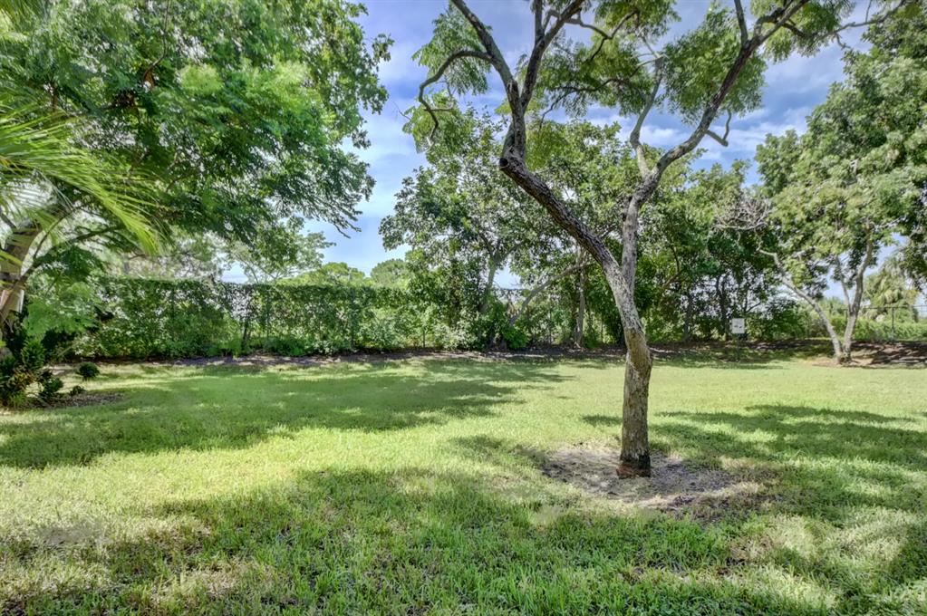 Tivoli Trace - Residential