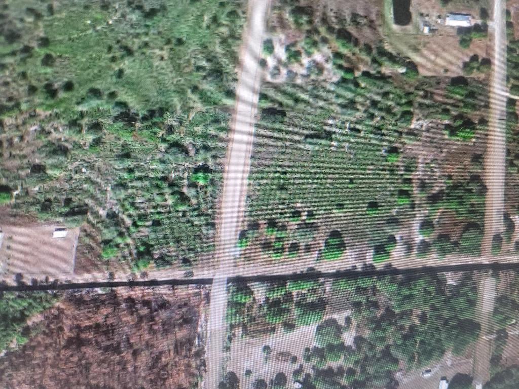 MONTURA SOUTH HALF (100804.00) - Land