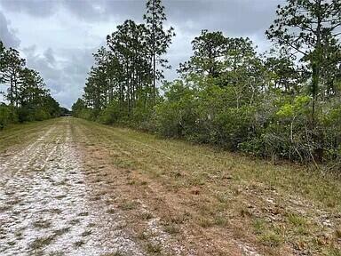 INDIAN LAKE ESTATES UNIT 01 - Land