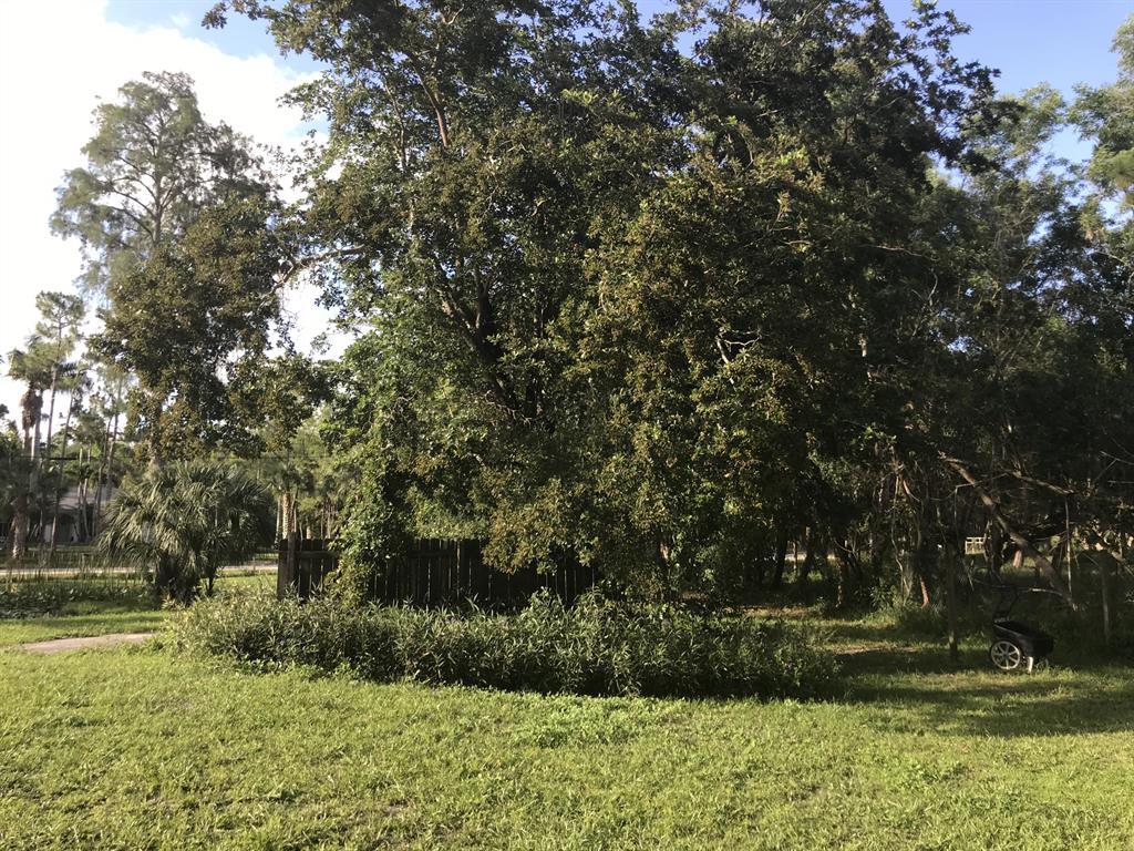 The Acreage - Residential