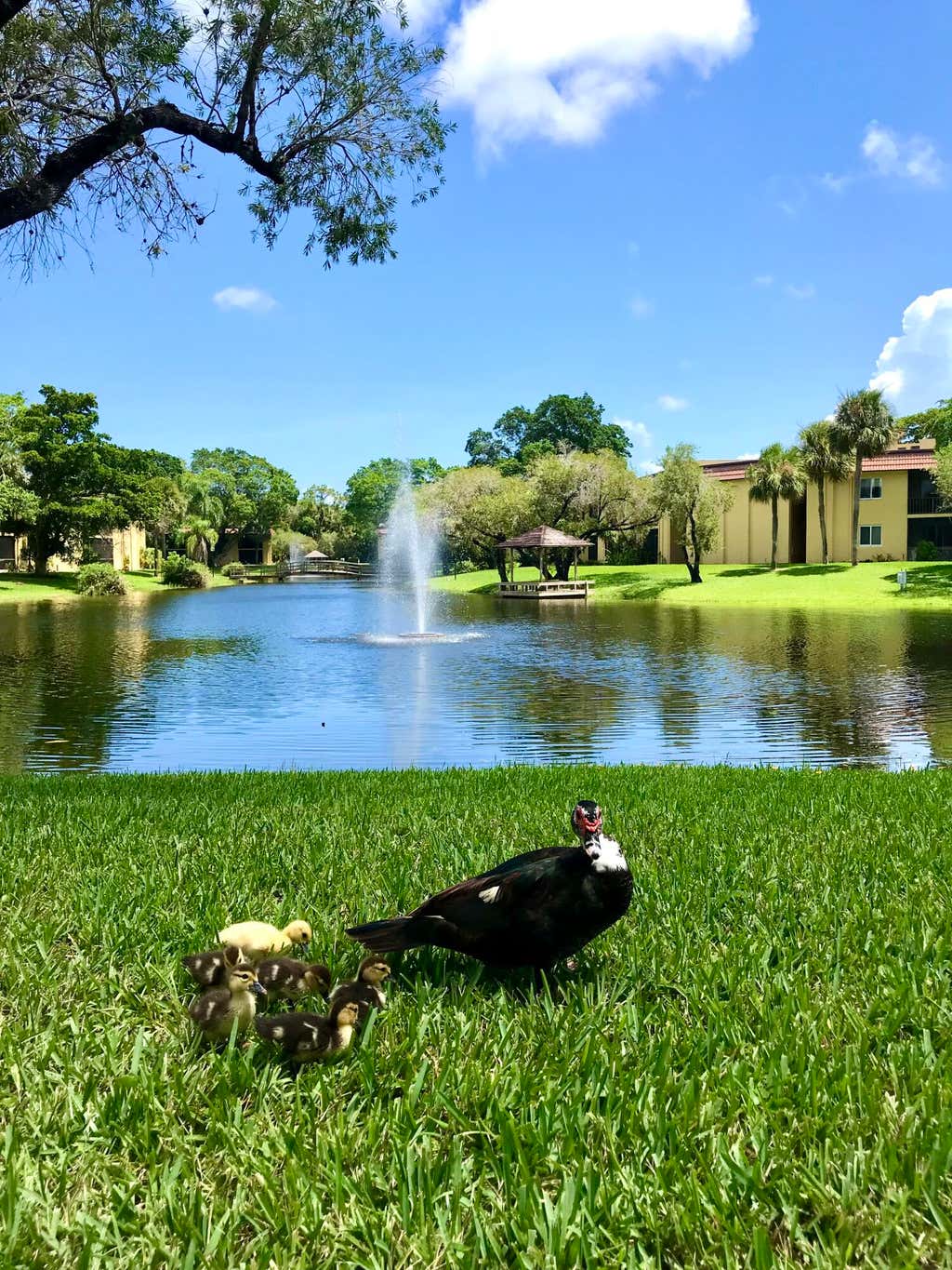Photo of 830 SW 9th Street Circle #APT 201, Boca Raton, FL 33486 (MLS # B26068467)