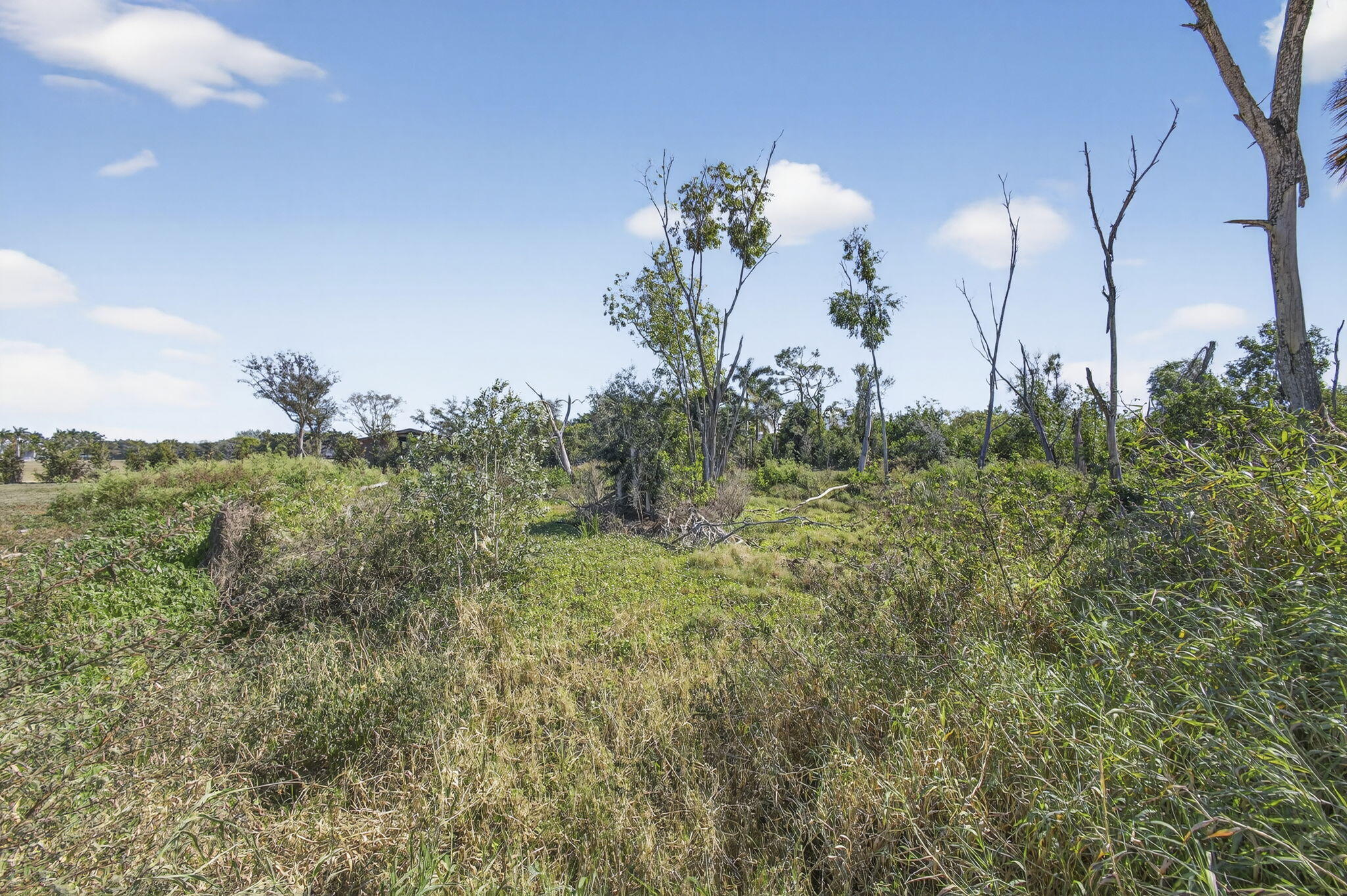 Rustic Ranches - Land