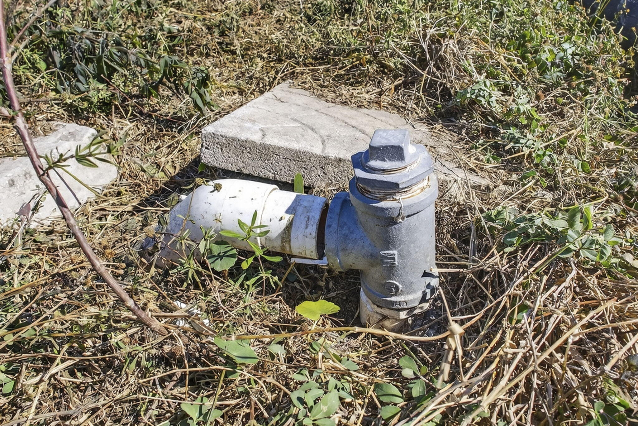 Rustic Ranches - Land