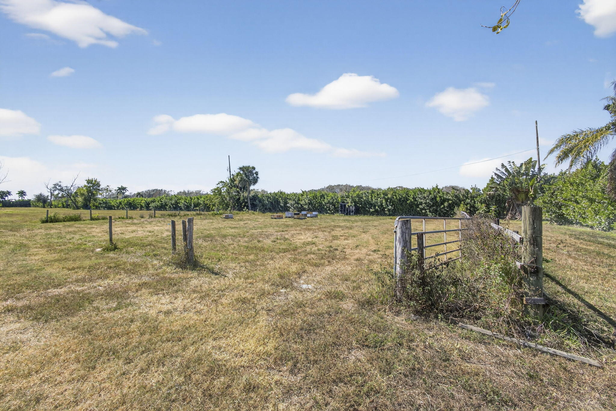 Rustic Ranches - Land