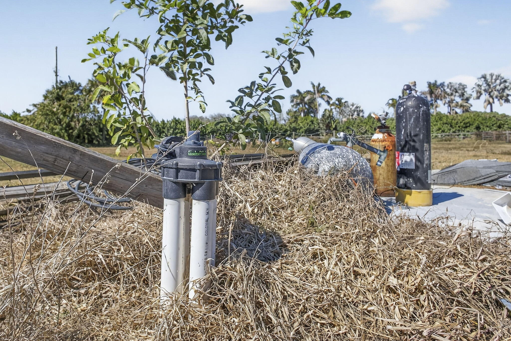 Rustic Ranches - Land