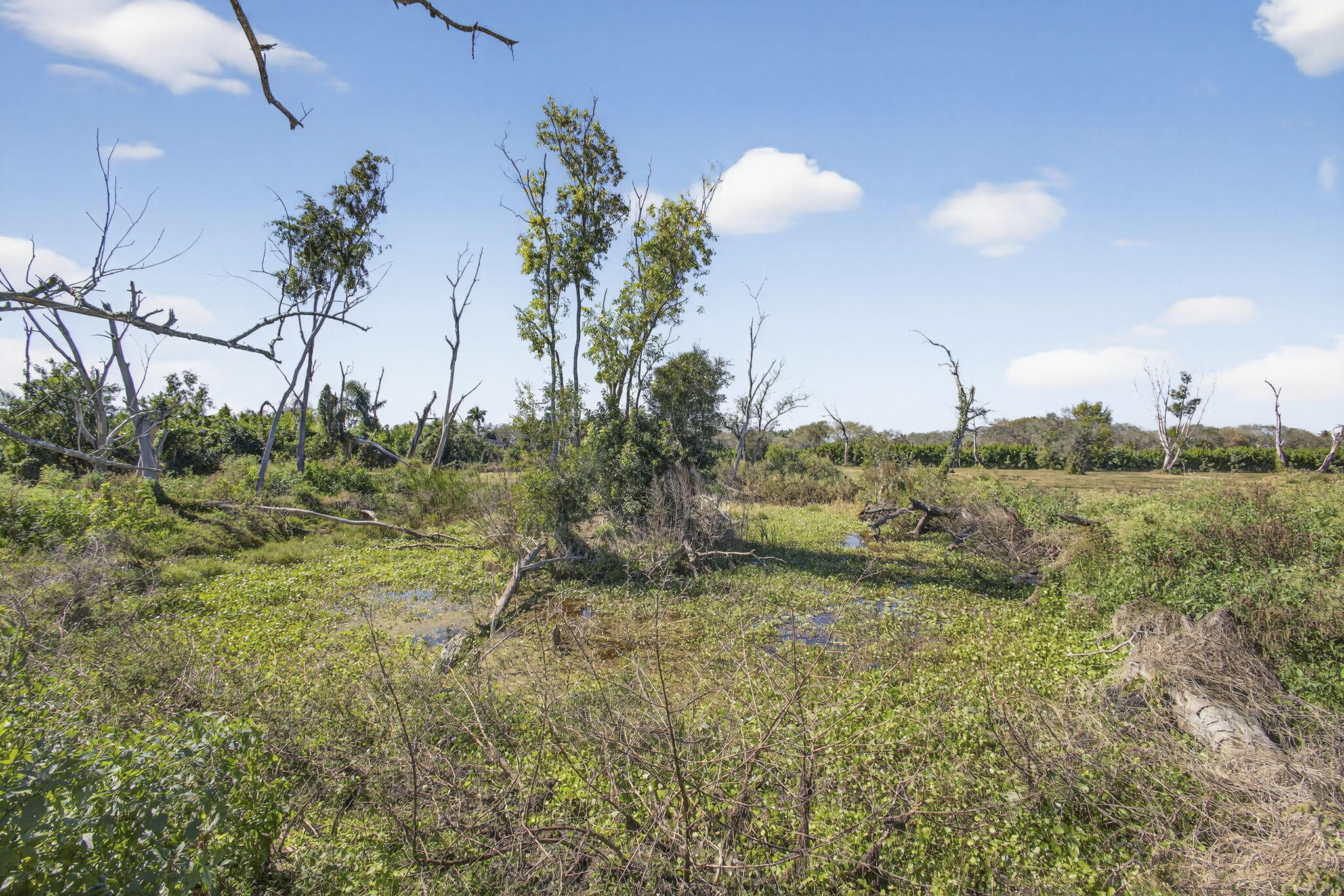 Rustic Ranches - Land