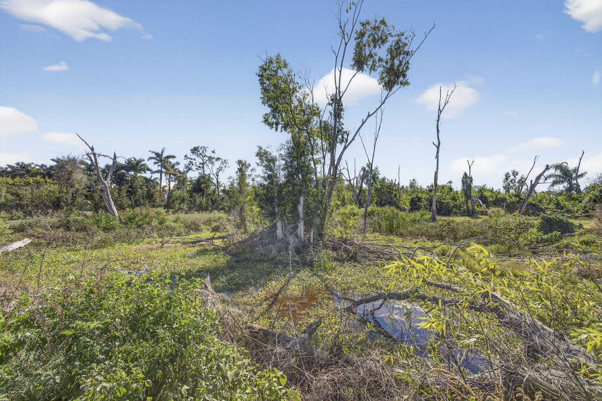 Rustic Ranches - Land