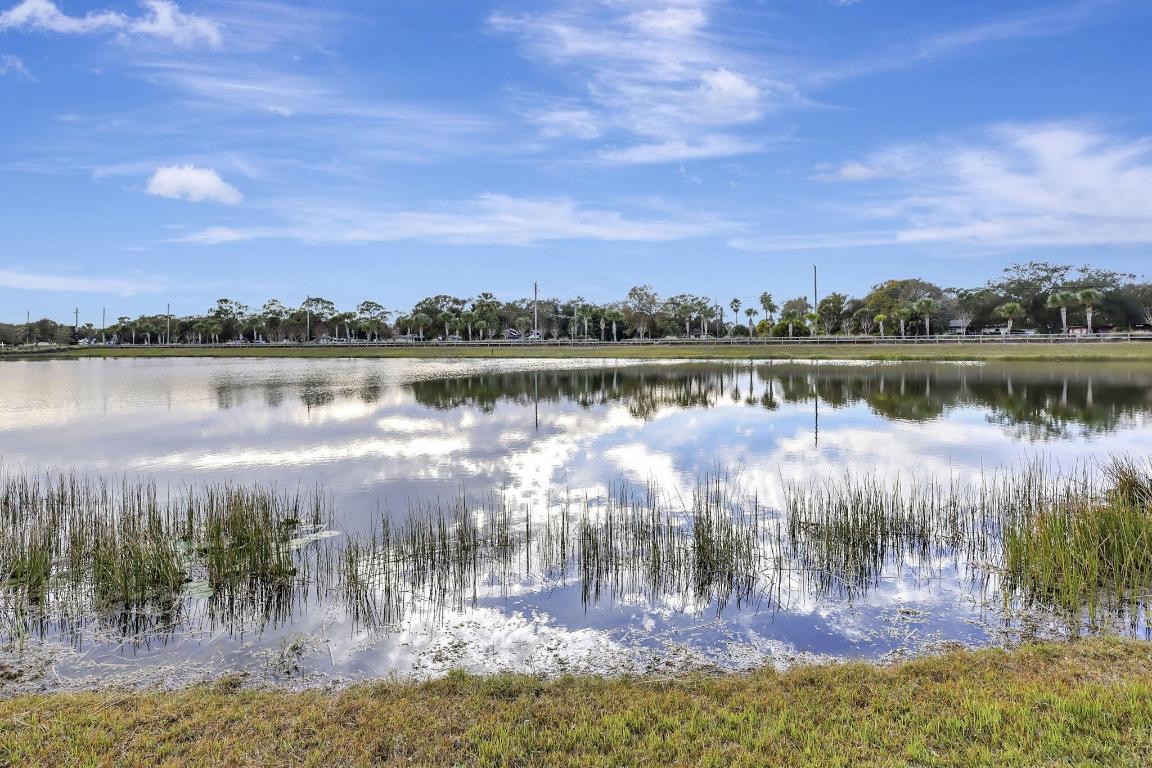 CELEBRATION POINTE - Residential