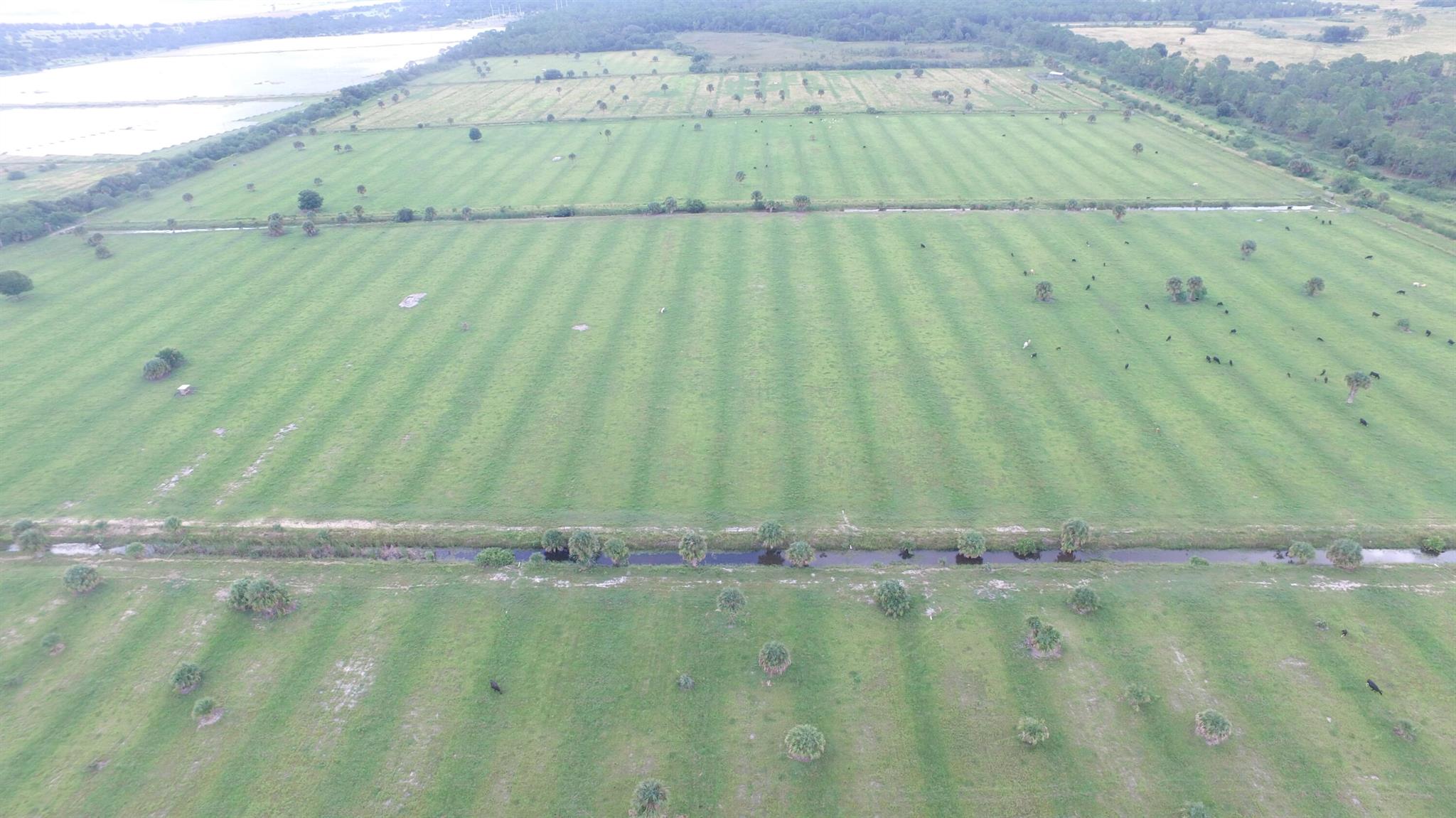 21041 Glades Cut Off Road