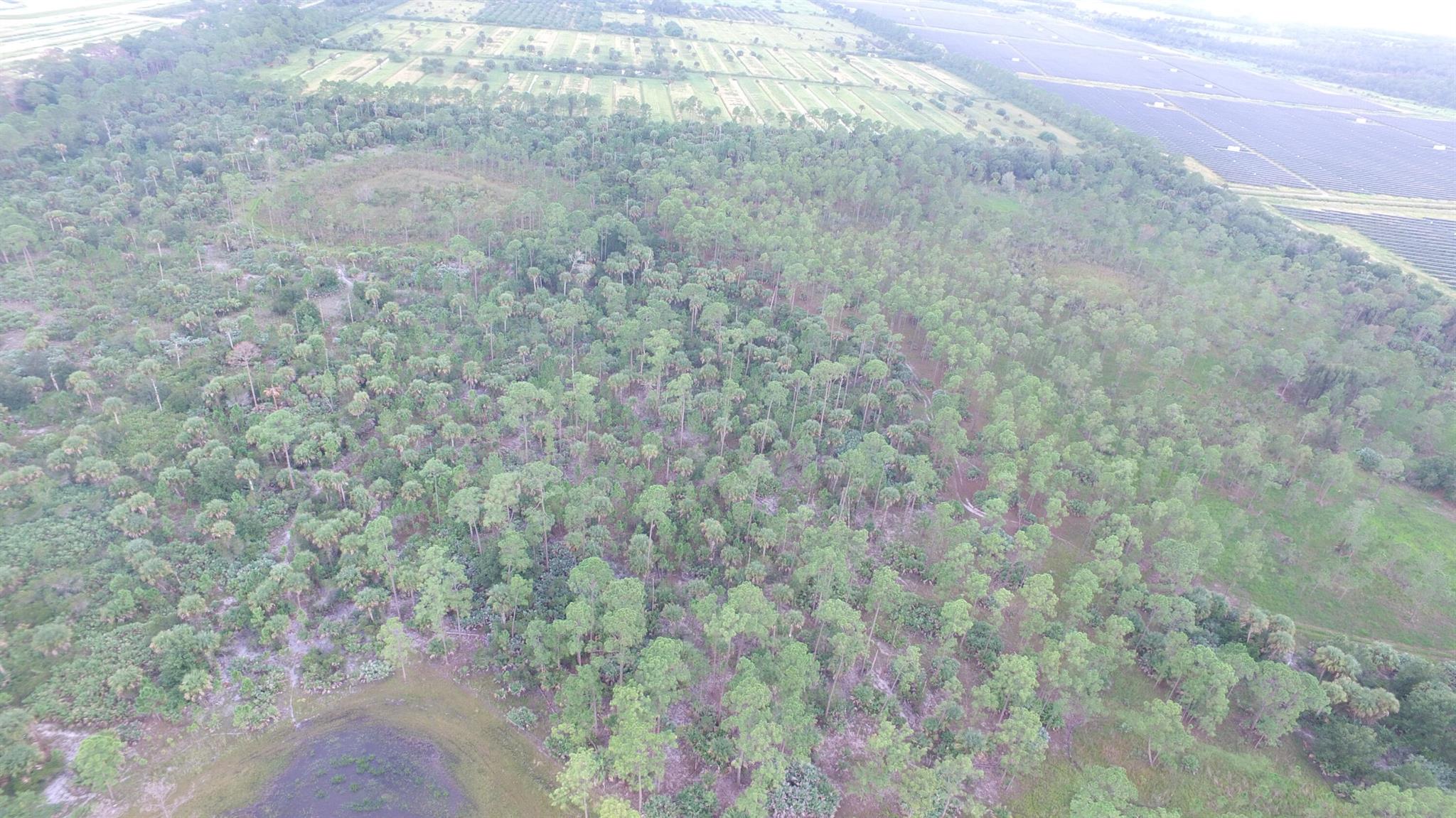 METES AND BOUNDS - Land