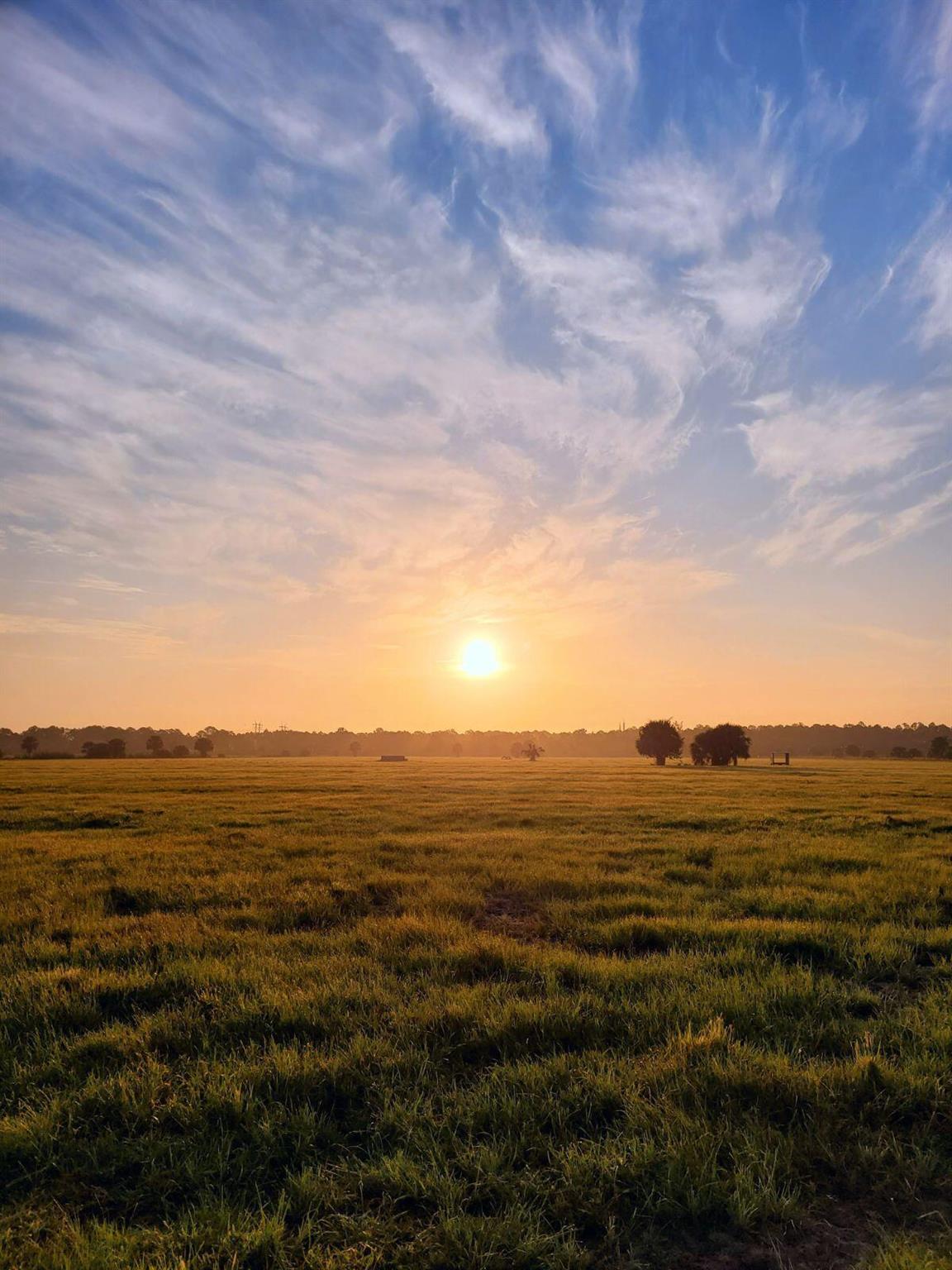 METES AND BOUNDS - Land