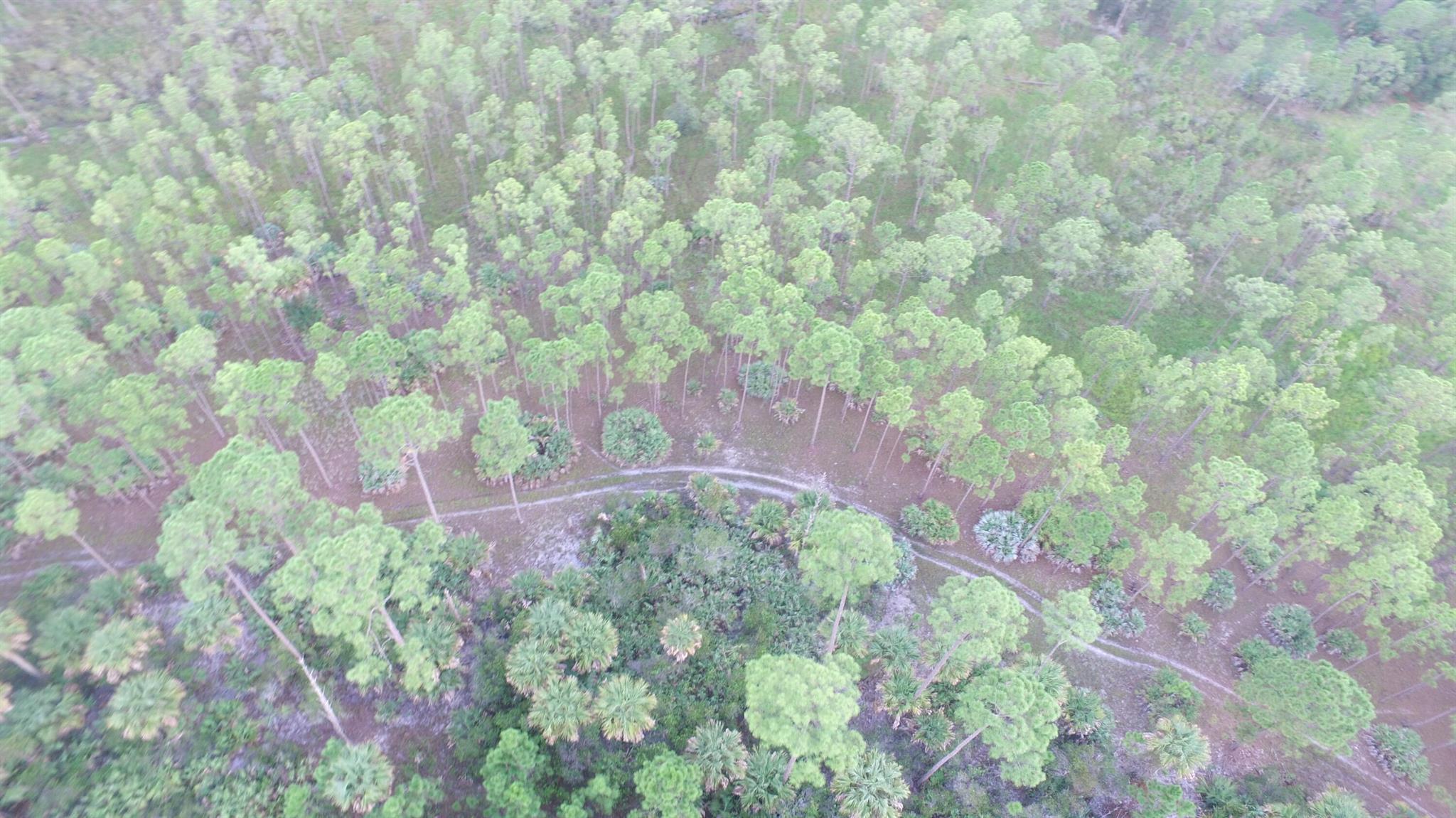 METES AND BOUNDS - Land