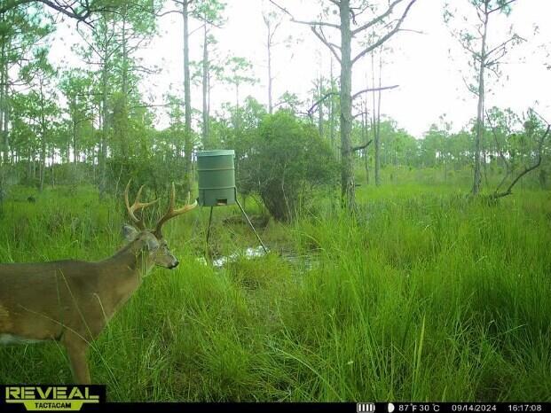 METES AND BOUNDS - Land