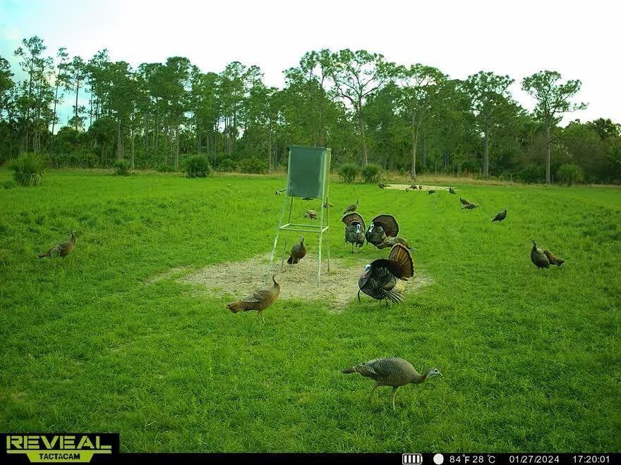 METES AND BOUNDS - Land