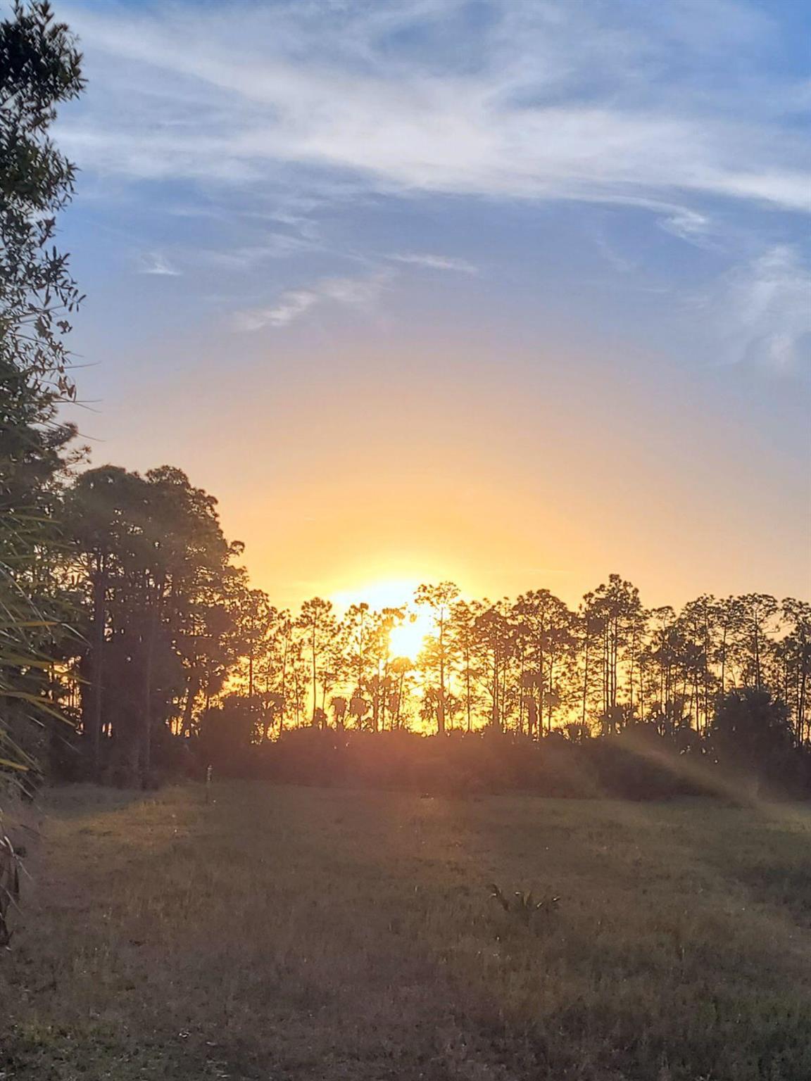 METES AND BOUNDS - Land