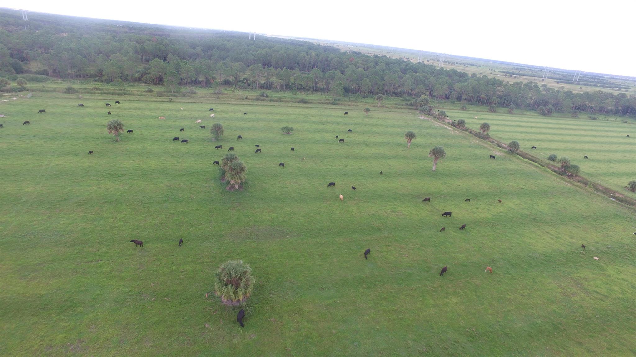 METES AND BOUNDS - Land