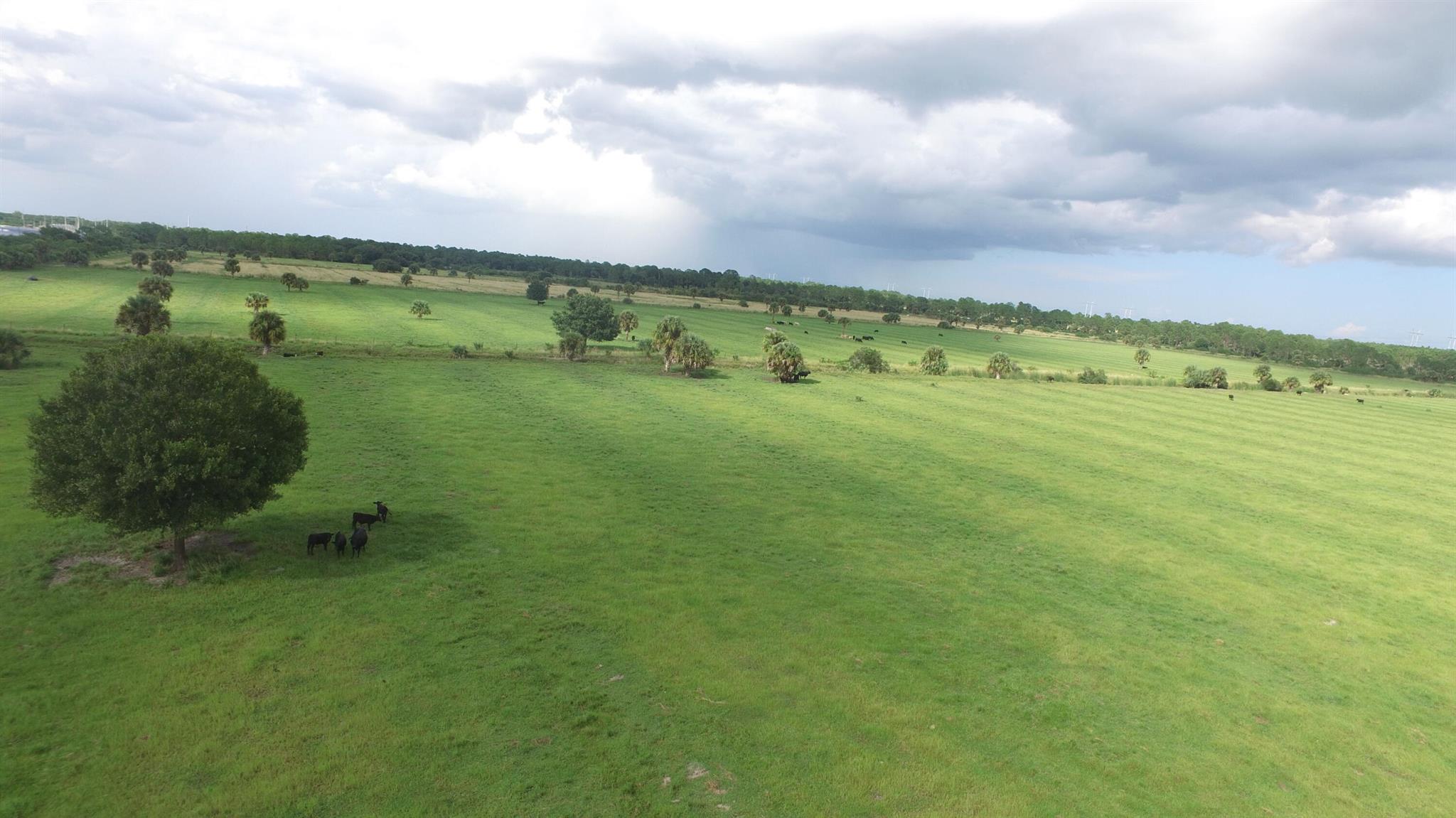 METES AND BOUNDS - Land