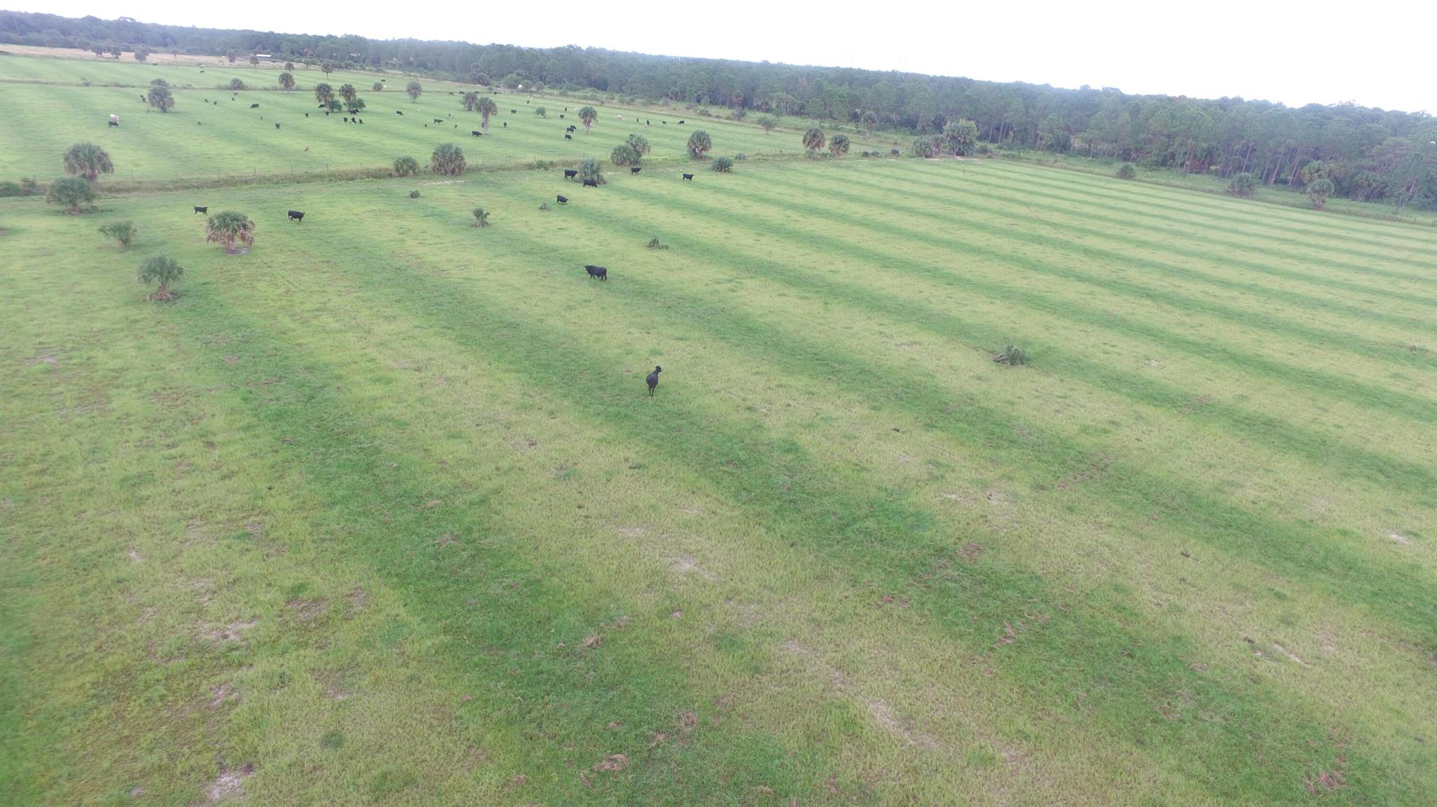 METES AND BOUNDS - Land