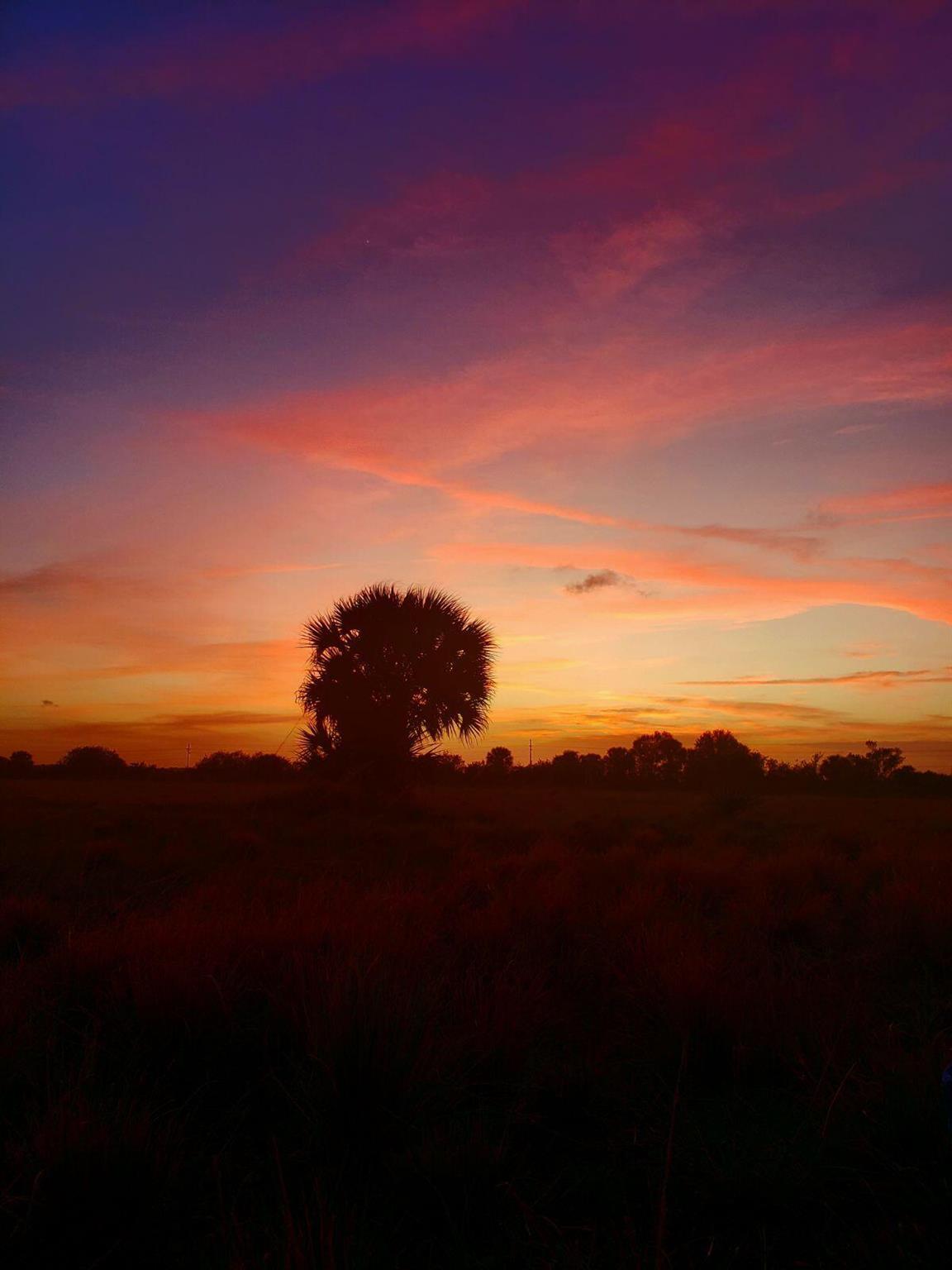 METES AND BOUNDS - Land