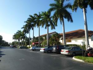 Palm Chase Lakes - Residential