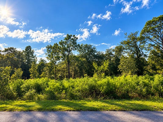 ADDRESS PRIVATE, DUNNELLON, FL  - Image d460d3b8f2adf39c413ebe78e2afcd88/1266595072