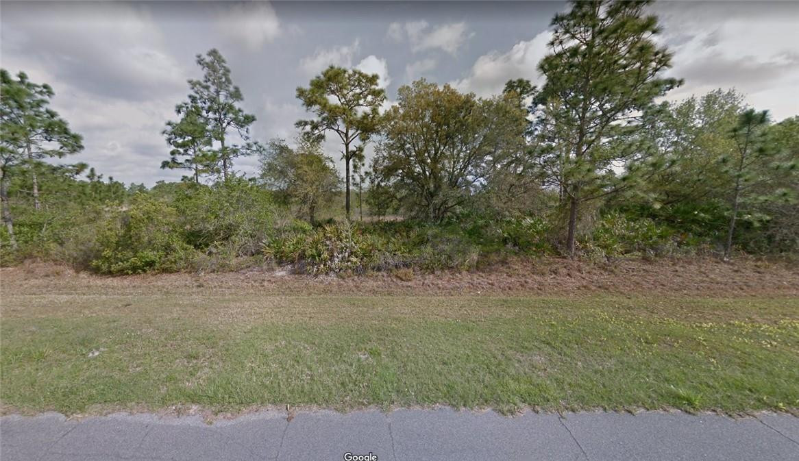 CAPE ORLANDO ESTATES - Land