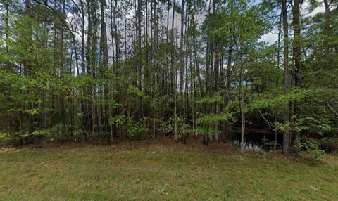 242 Lakeway Drive Georgetown FL 32139