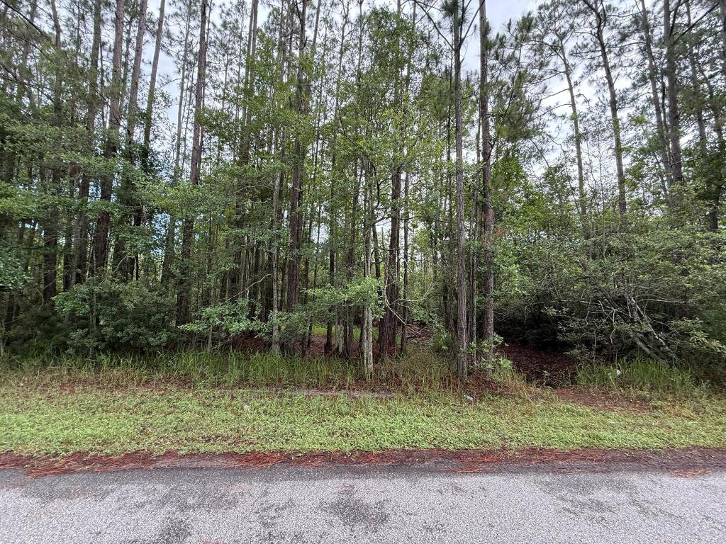 LAKE GEORGE MANOR - Land