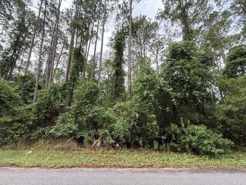 242 Lakeway Drive Georgetown FL 32139