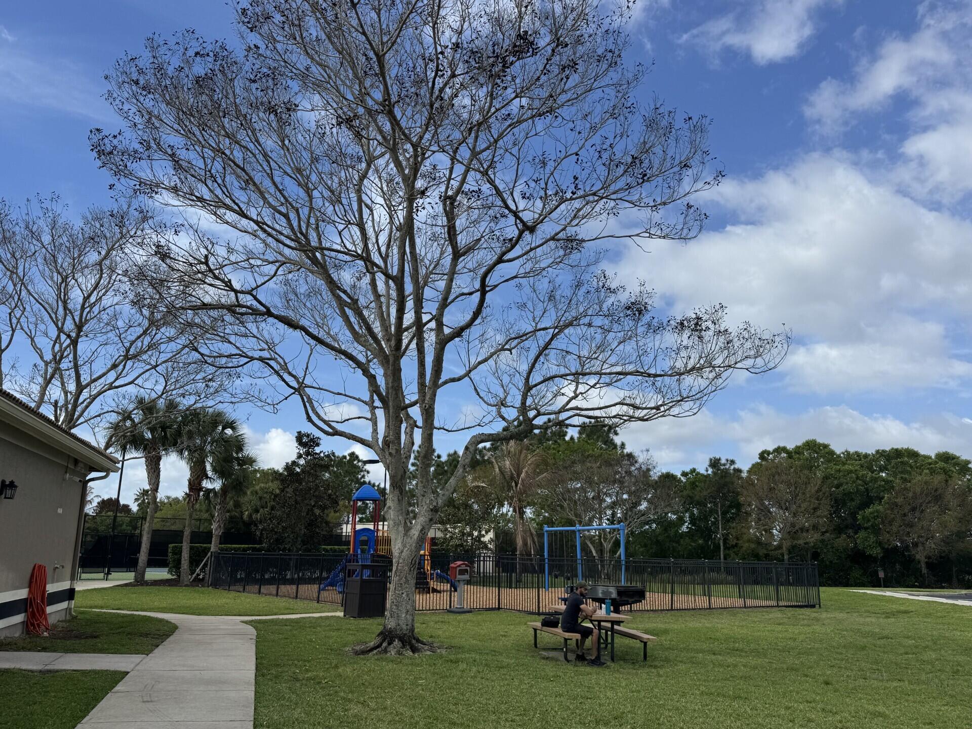 FOURTH  REPLAT OF PORTOFINO ISLES - Residential