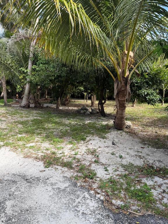 OVERBROOK - Residential Lease