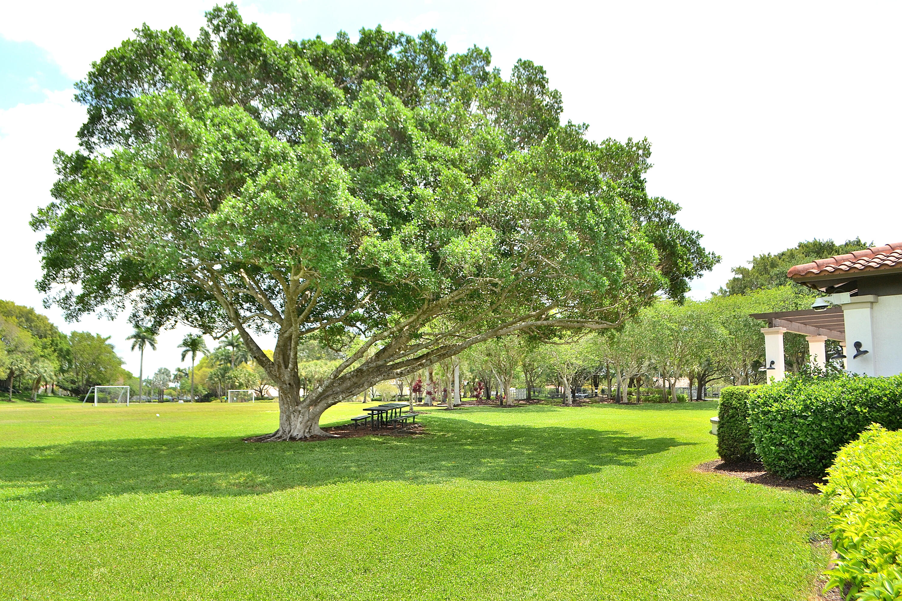 The Ridges - Residential