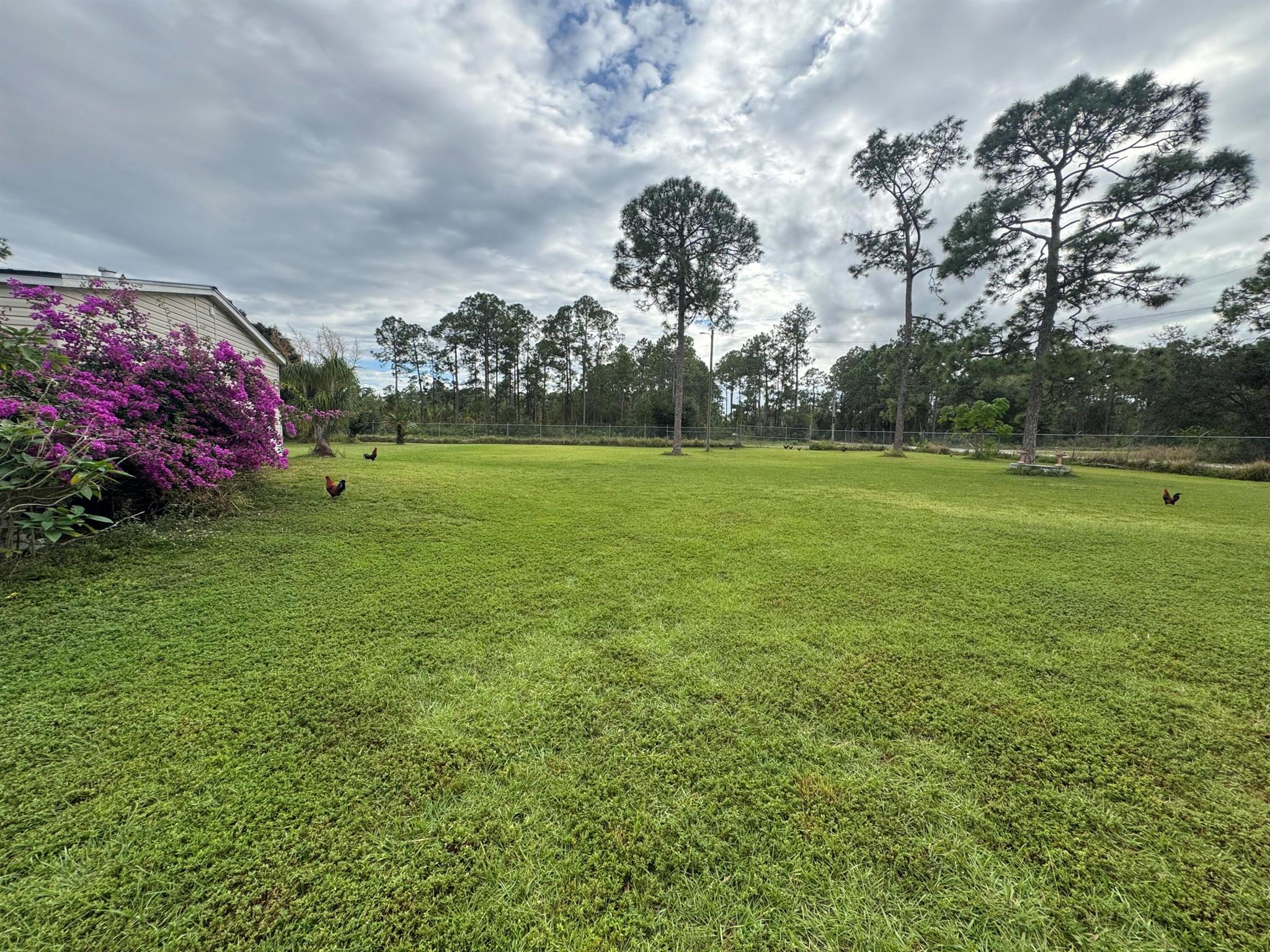 MONTURA RANCH UNREC SEC 2 - Residential