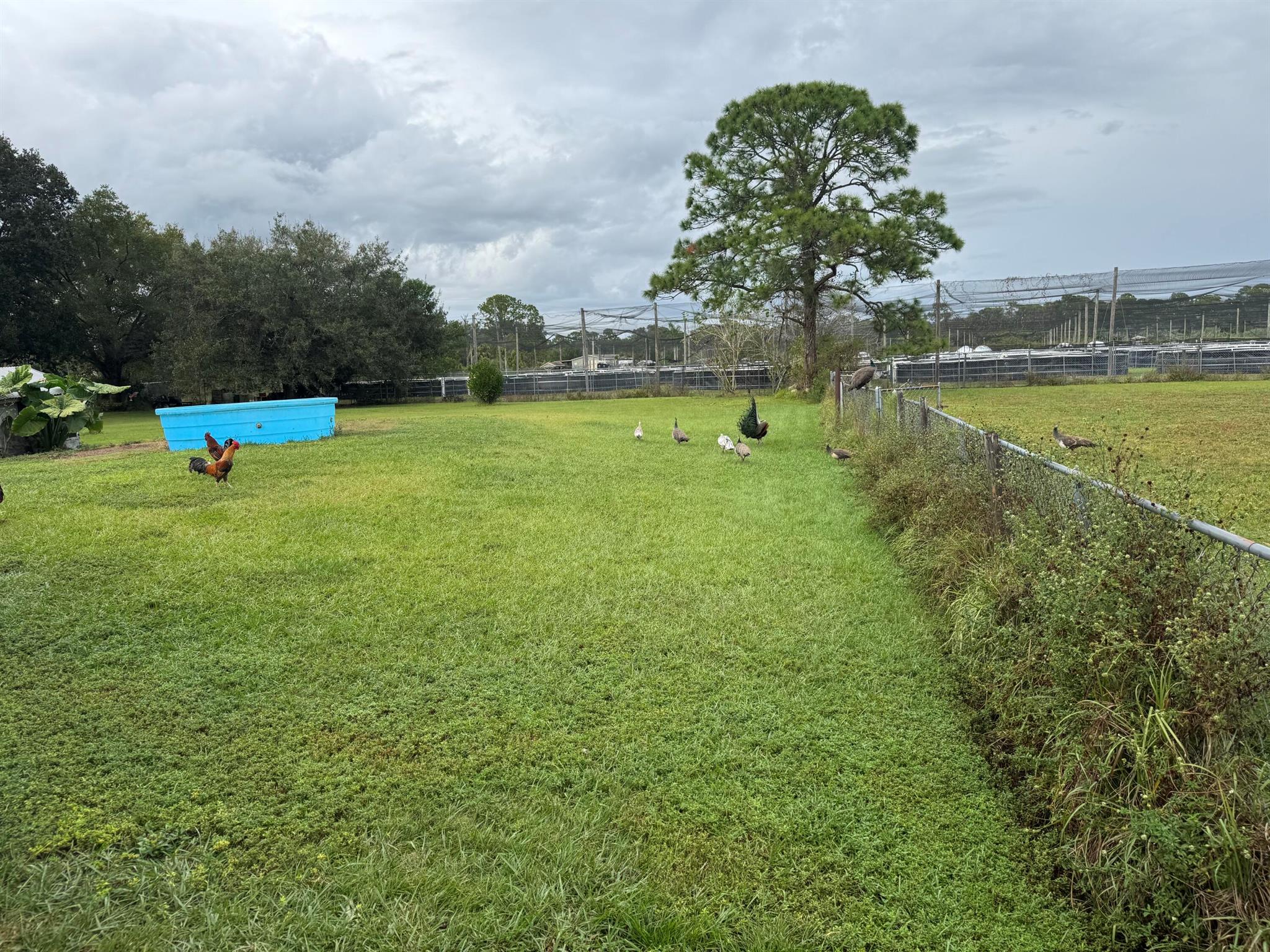 MONTURA RANCH UNREC SEC 2 - Residential