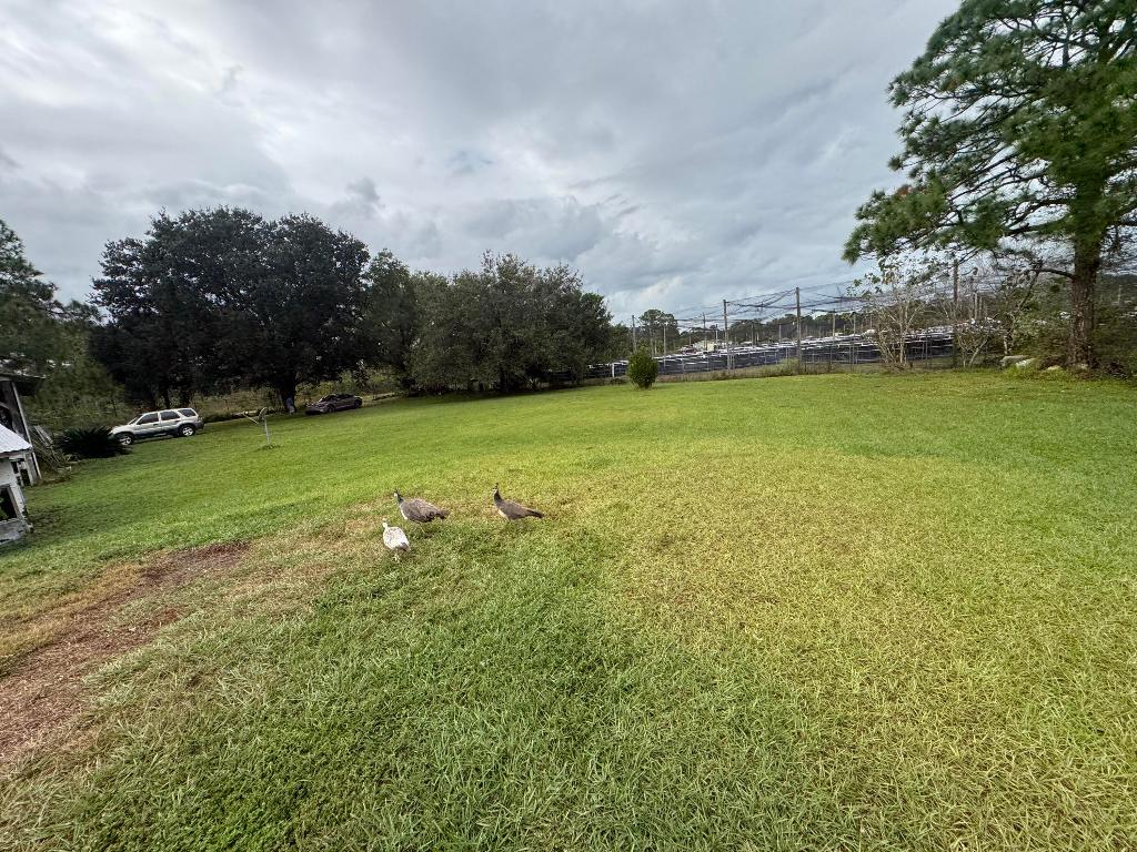 MONTURA RANCH UNREC SEC 24 - Residential