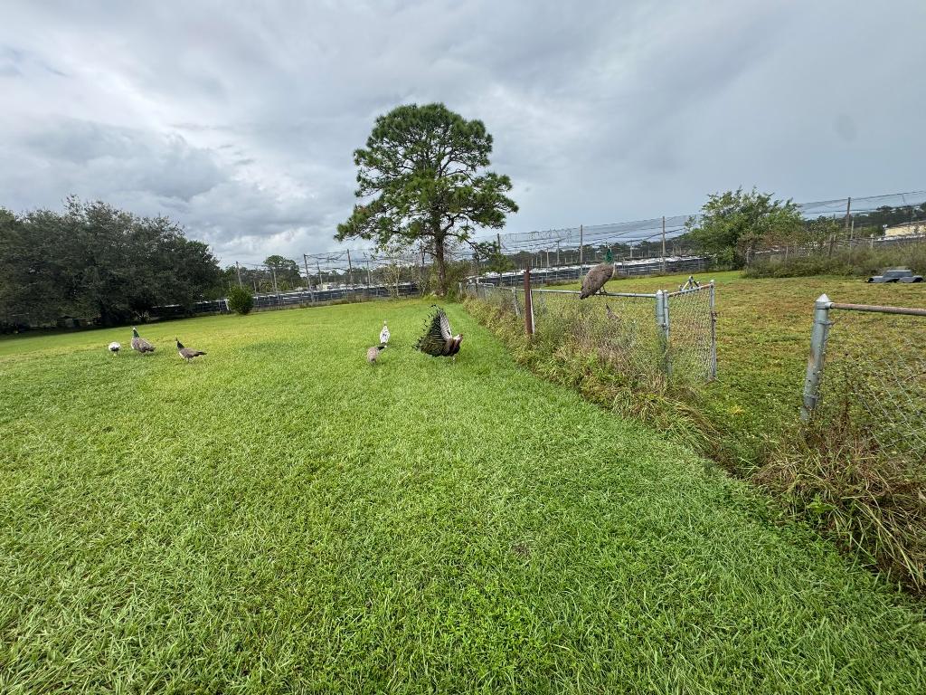 MONTURA RANCH UNREC SEC 24 - Residential